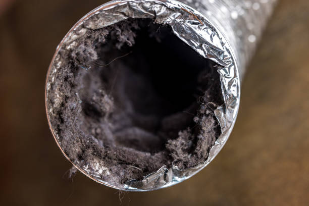 Best Professional Duct Cleaning Services  in Northgate, OH